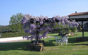 Agriturismo Villani Poderi Nesti & Cupoli